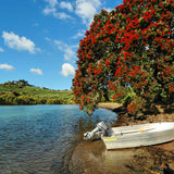Waiheke Island Pōhutukawa Honey